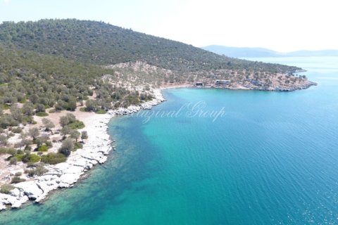 Продажа земельного участка  в Бодруме, Мугле, Турция, 94000м2, №221221 – фото 4