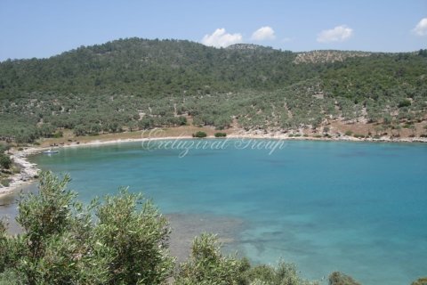 Продажа земельного участка  в Бодруме, Мугле, Турция, 94000м2, №221221 – фото 2