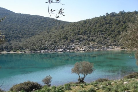 Продажа земельного участка  в Бодруме, Мугле, Турция, 94000м2, №221221 – фото 5