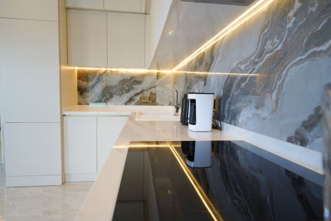 4+0 Wohnung in Alanya, Antalya, Türkei Nr. 225129 - 7
