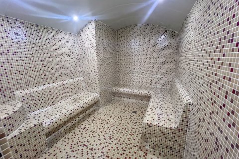 3+1 Lejlighed  i Alanya, Antalya, Tyrkiet Nr. 218482 - 21