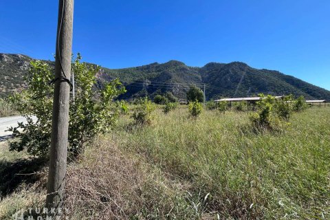 Arsa Dalyan, Muğla, Türkiye №233147 - 5