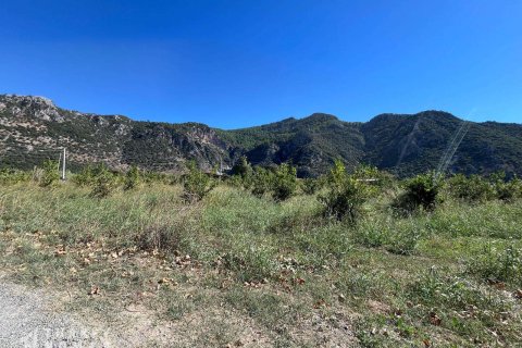Arsa Dalyan, Muğla, Türkiye №233147 - 12