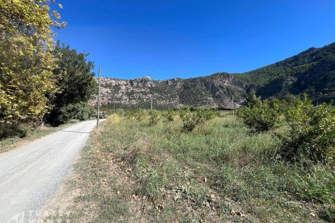 Arsa Dalyan, Muğla, Türkiye №233147 - 11
