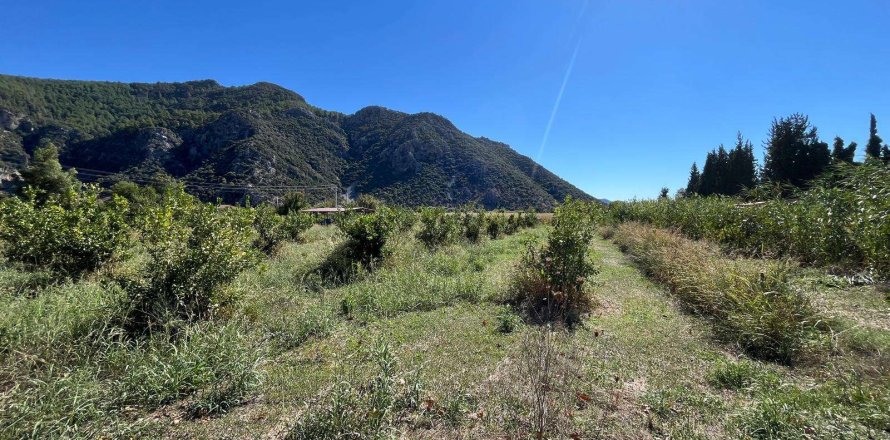 Arsa Dalyan, Muğla, Türkiye №233147
