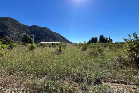 Arsa Dalyan, Muğla, Türkiye №233147 - 7
