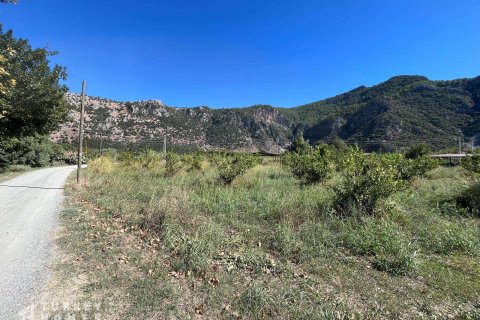 Arsa Dalyan, Muğla, Türkiye №233147 - 6