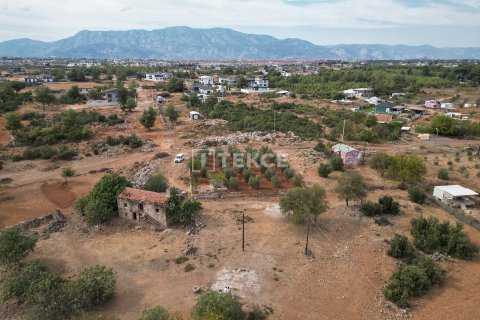 Tömma  i Dosemealti, Antalya, Turkiet Nr. 212068 - 4