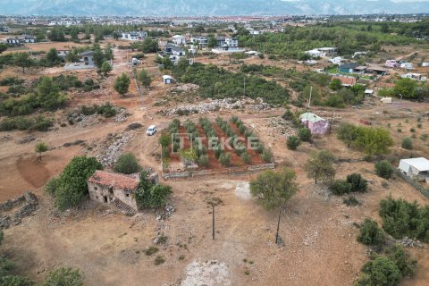 Tömma  i Dosemealti, Antalya, Turkiet Nr. 212068 - 1