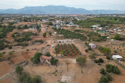 Tömma  i Dosemealti, Antalya, Turkiet Nr. 212068 - 6