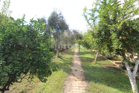 3+1 Villa  i Serik, Antalya, Tyrkiet Nr. 212065 - 5