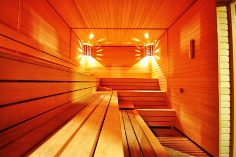 2+1 Wohnung  in Alanya, Antalya, Türkei Nr. 216814 - 19