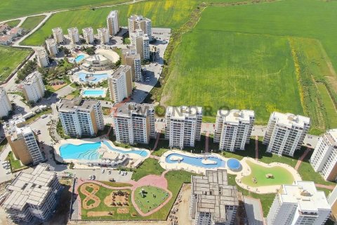 2+1 Wohnung  in  Nr. 215226 - 15