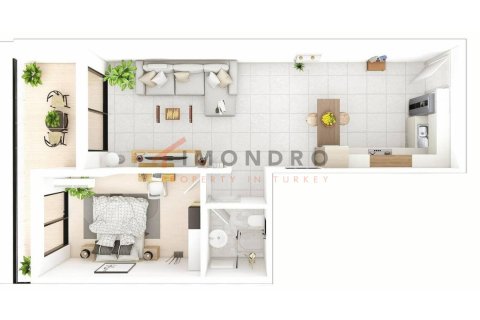 2+1 Wohnung  in  Nr. 215226 - 20