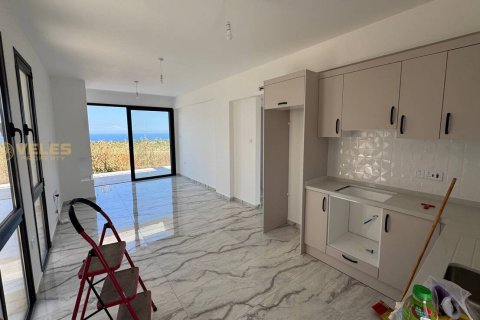 2+1 Villa i Yeni Erenkoy, Guzelyurt, Nr. 226031 - 9