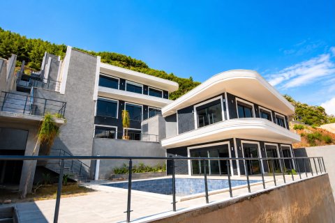 4+1 Villa i Alanya, Antalya, Tyrkia Nr. 226032 - 3