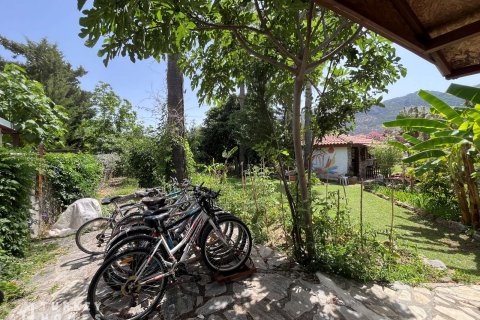 Otel   Dalyan, Muğla, Türkiye №233266 - 21