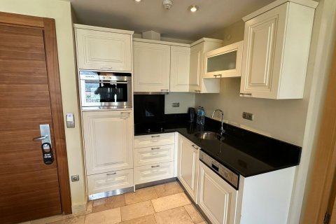 2+1 Lägenhet  i Kargicak, Alanya, Antalya, Turkiet Nr. 216225 - 14