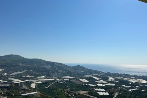 2+1 Lägenhet  i Kargicak, Alanya, Antalya, Turkiet Nr. 216226 - 3