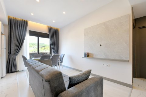 1+1 Lägenhet i Alanya, Antalya, Turkiet Nr. 237711 - 21