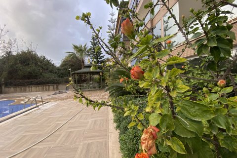 4+1 Takvåning i Alanya, Antalya, Turkiet Nr. 237716 - 8