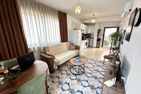 Daire  1+1  Alanya, Antalya, Türkiye №216785 - 13