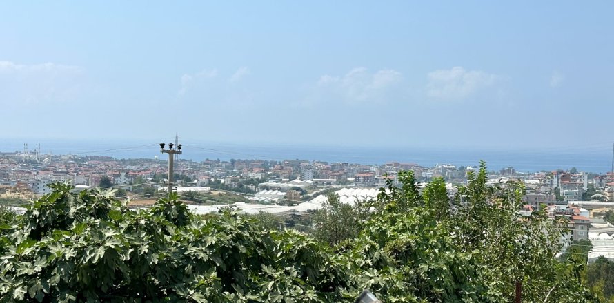 Daire  1+1  Alanya, Antalya, Türkiye №216785