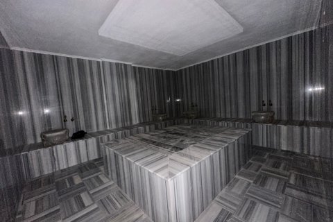 Аренда квартиры  в Аланье, Анталье, Турция 2+1, №216783 – фото 26