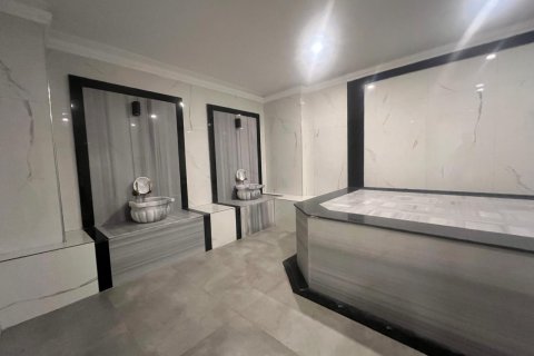 آپارتمان در  Alanya ، ترکیه 1 خوابه ، 55 متر مربع.  شماره 216789 - 14