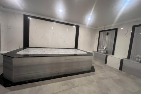 آپارتمان در  Alanya ، ترکیه 1 خوابه ، 55 متر مربع.  شماره 216789 - 13