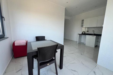 آپارتمان در  Alanya ، ترکیه 1 خوابه ، 55 متر مربع.  شماره 216789 - 9