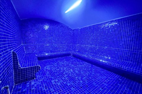 آپارتمان در  Alanya ، ترکیه 1 خوابه ، 55 متر مربع.  شماره 216789 - 16