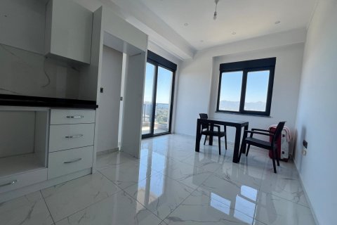 آپارتمان در  Alanya ، ترکیه 1 خوابه ، 55 متر مربع.  شماره 216789 - 7