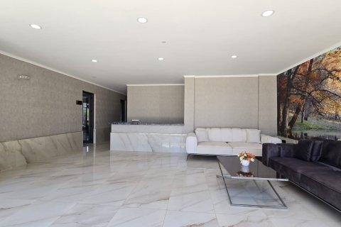 Аренда квартиры в Аланье, Анталье, Турция 1+1, 45м2, №216786 – фото 10