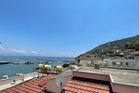 Продажа отеля в Аланье, Анталье, Турция, 227м2, №213506 – фото 4