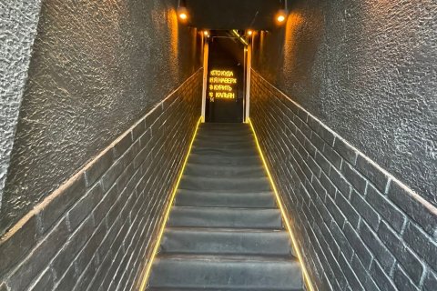 Продажа отеля в Аланье, Анталье, Турция, 227м2, №213506 – фото 3