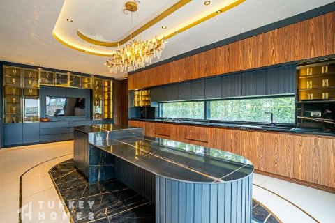 Продажа виллы  в Стамбуле, Турция 6+1, 852м2, №232669 – фото 13