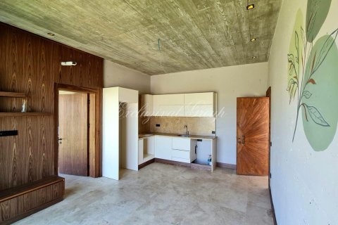 Villa for sale in Bodrum, Mugla, Turkey, 4 bedrooms, 560m2, No. 232203 – photo 9