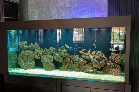 2+1 Lejlighed i Alanya, Antalya, Tyrkiet Nr. 226419 - 20