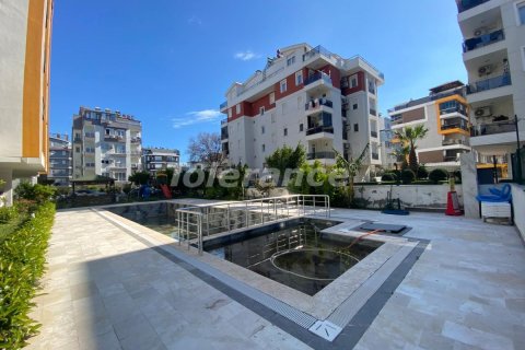 1+1 Lejlighed i Antalya, Tyrkiet Nr. 226416 - 16