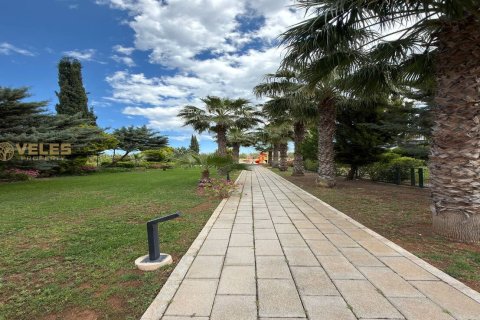 ویلا در Famagusta ، ترکیه 4 خوابه ، 290 متر مربع. شماره 226417 - 17