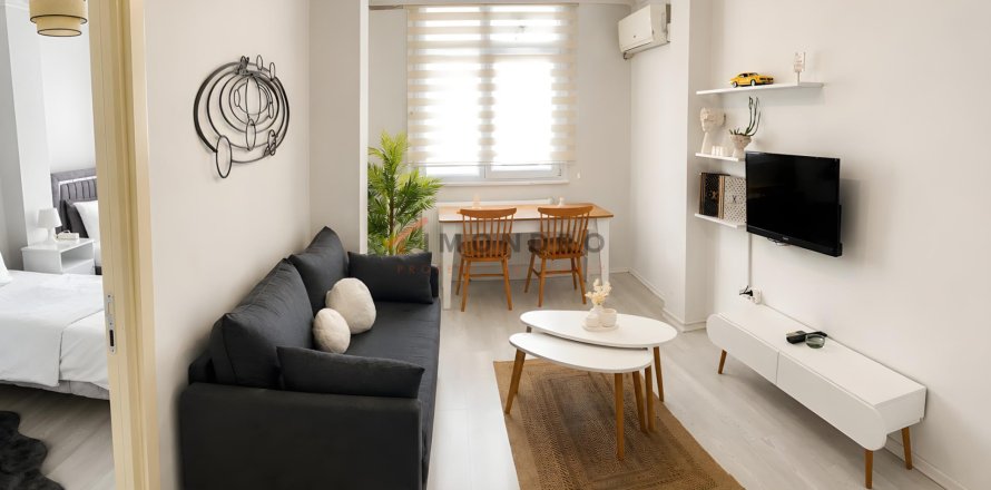 1+1 Lejlighed  i Beyoglu, Istanbul, Tyrkiet Nr. 227447