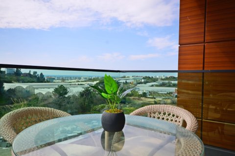 Daire 1+1 Alanya, Antalya, Türkiye №216618 - 18