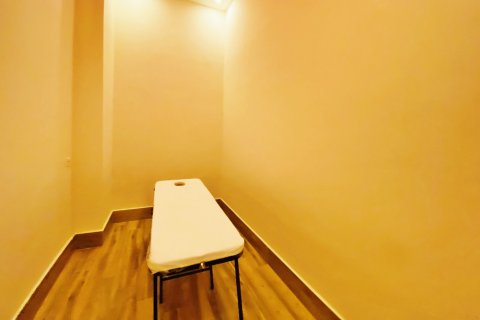 3+1 Wohnung  in Alanya, Antalya, Türkei Nr. 216617 - 4