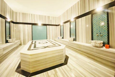 3+1 Wohnung  in Alanya, Antalya, Türkei Nr. 216617 - 21