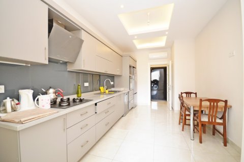 3+1 Wohnung  in Alanya, Antalya, Türkei Nr. 216617 - 5