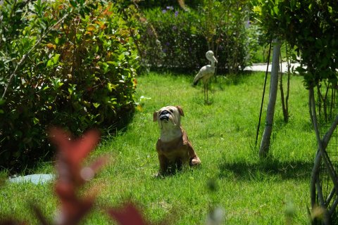 1+1 Lägenhet  i Oba, Antalya, Turkiet Nr. 21840 - 25