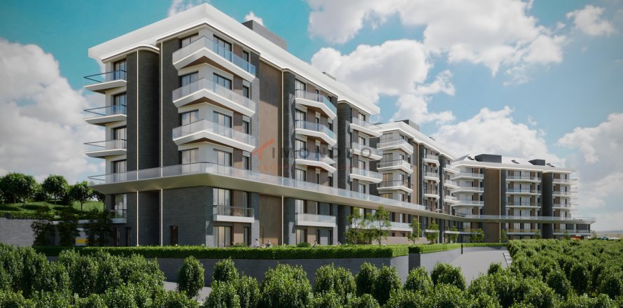 Квартира  1+1 в Эйюпе, Стамбул, Турция №221515