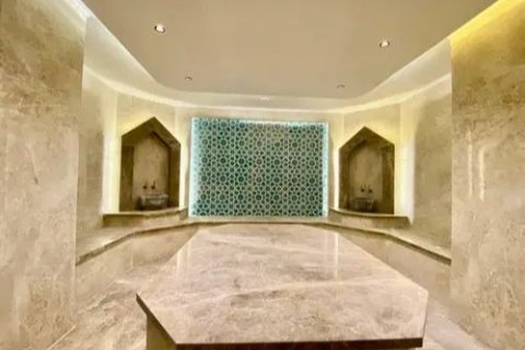 آپارتمان در  Alanya ، ترکیه 1 خوابه ، 55 متر مربع.  شماره 219667 - 7