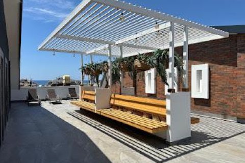 Lejlighed  i Alanya, Antalya, Tyrkiet Nr. 213210 - 19